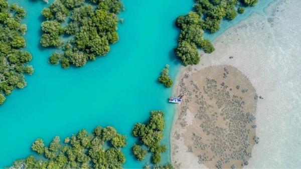 جنگل حرا: تجربه قایق سواری در طبیعت جادویی قشم جنگل حرا: تجربه قایق سواری در طبیعت جادویی قشم